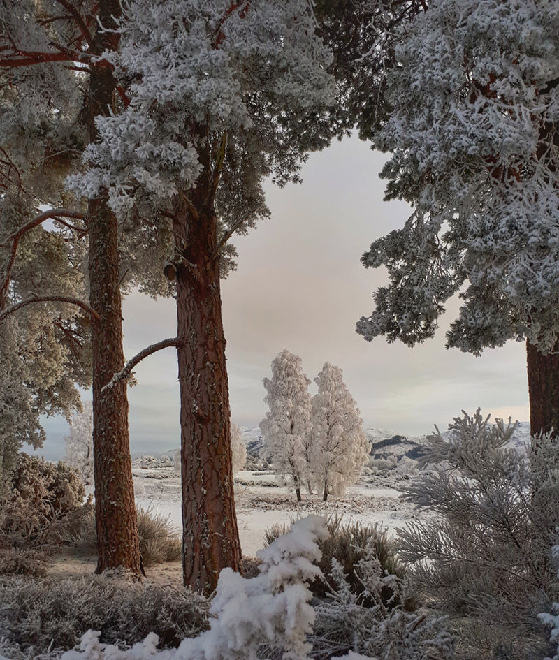 Golf Course in Snow near Old Convent Holiday Apartments self catering in Fort Augustus near Loch Ness Scotland Golf Course in Snow near Old Convent Holiday Apartments self catering in Fort Augustus near Loch Ness Scotland